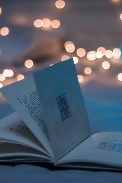 电视剧《繁花》海报：上海弄堂夜景与人物剪影